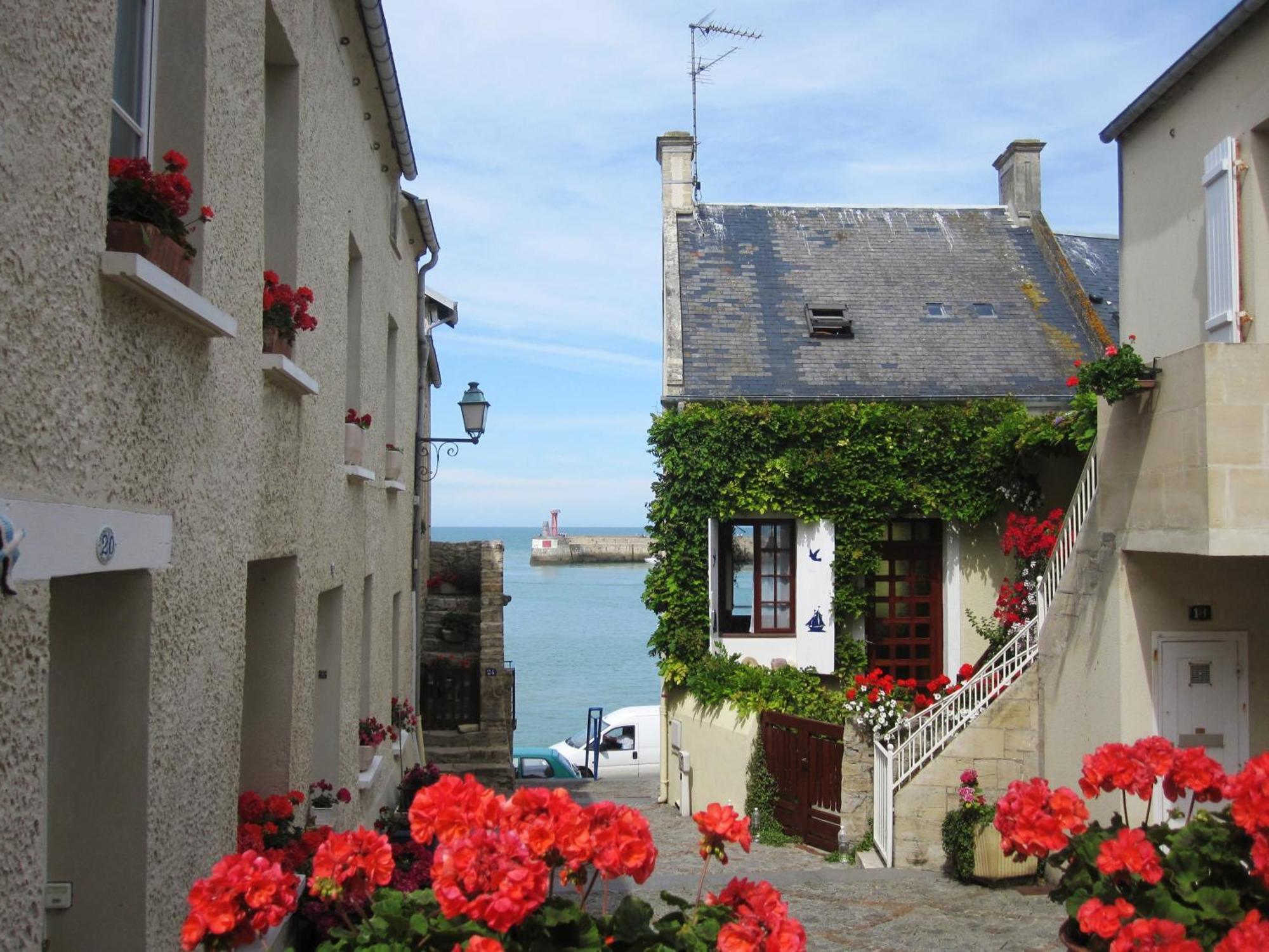Gite "Au P'Tit Tourois" De Plain-Pied Tout Confort Avec Veranda Proche D'Omaha Beach Et De Bayeux Accueillant Les Animaux Экстерьер фото